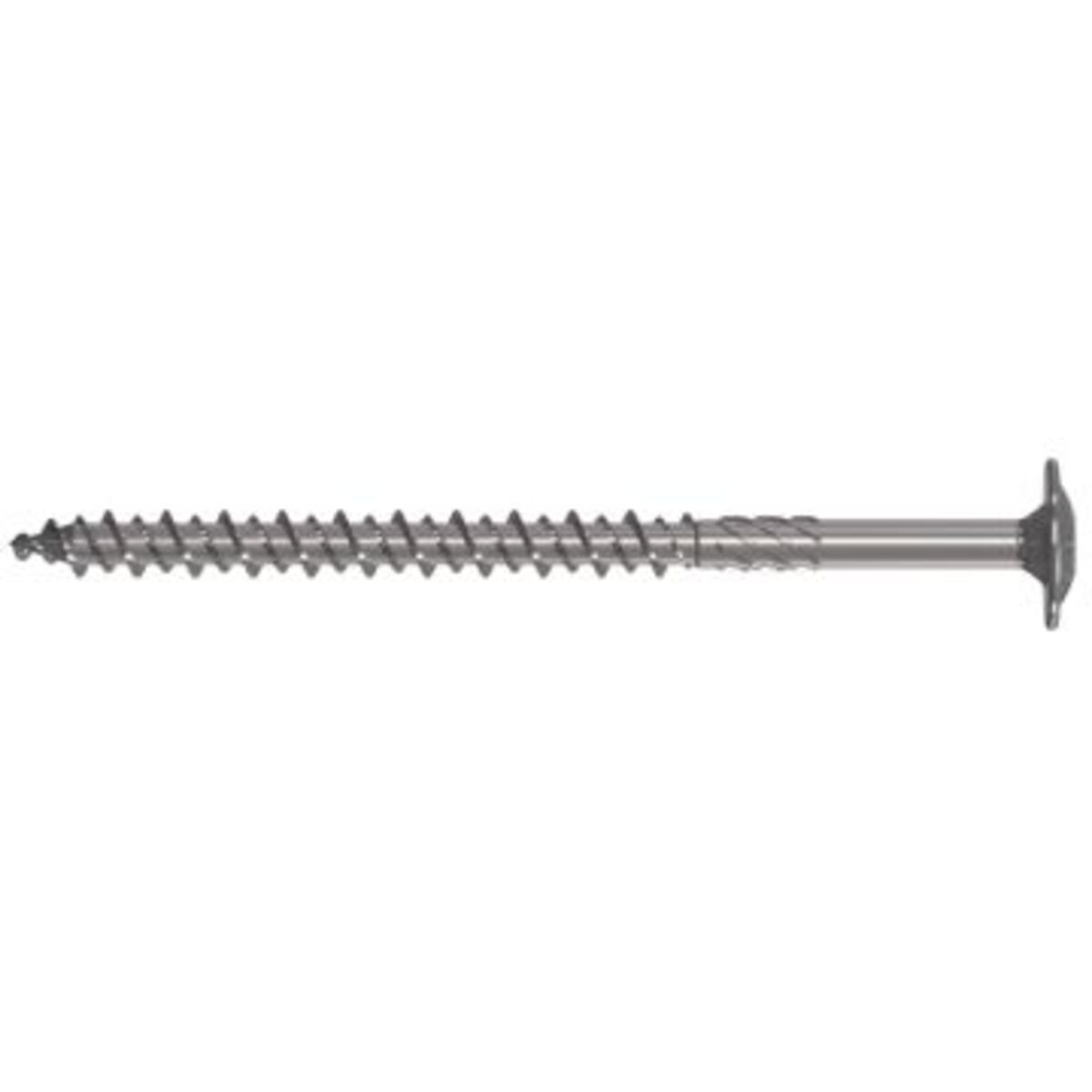 Hardwood screw in stainless steel A2 with wafer head - various sizes