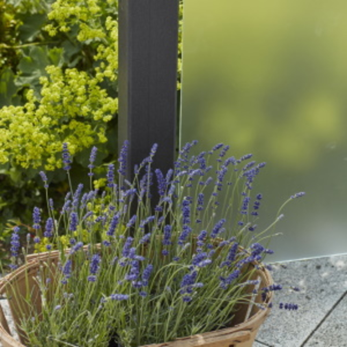 How to choose a tempered or laminated security glass balustrade? How to choose a tempered or laminated security glass balustrade?